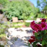 Fuer 4 Personen Mit Garten In Nieblum
