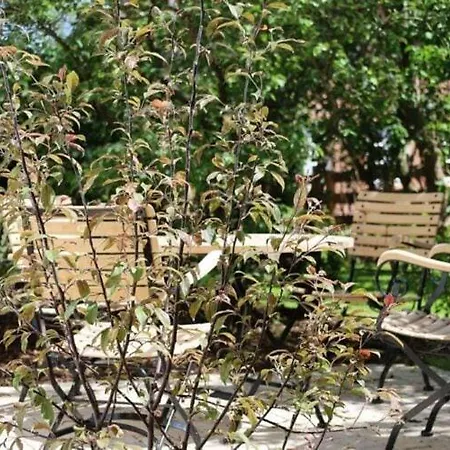 Fuer 4 Personen Mit Garten In