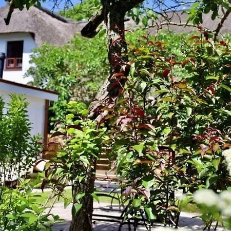 Lägenhet Fuer 4 Personen Mit Garten In
