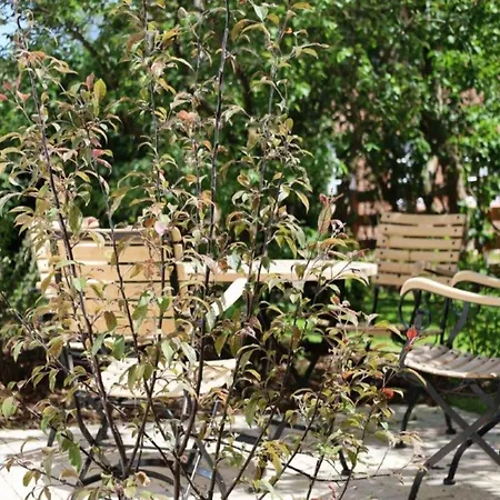 Fuer 4 Personen Mit Garten In
